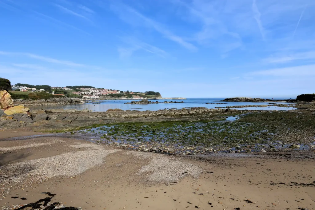 Playa-del-Aramar-1
