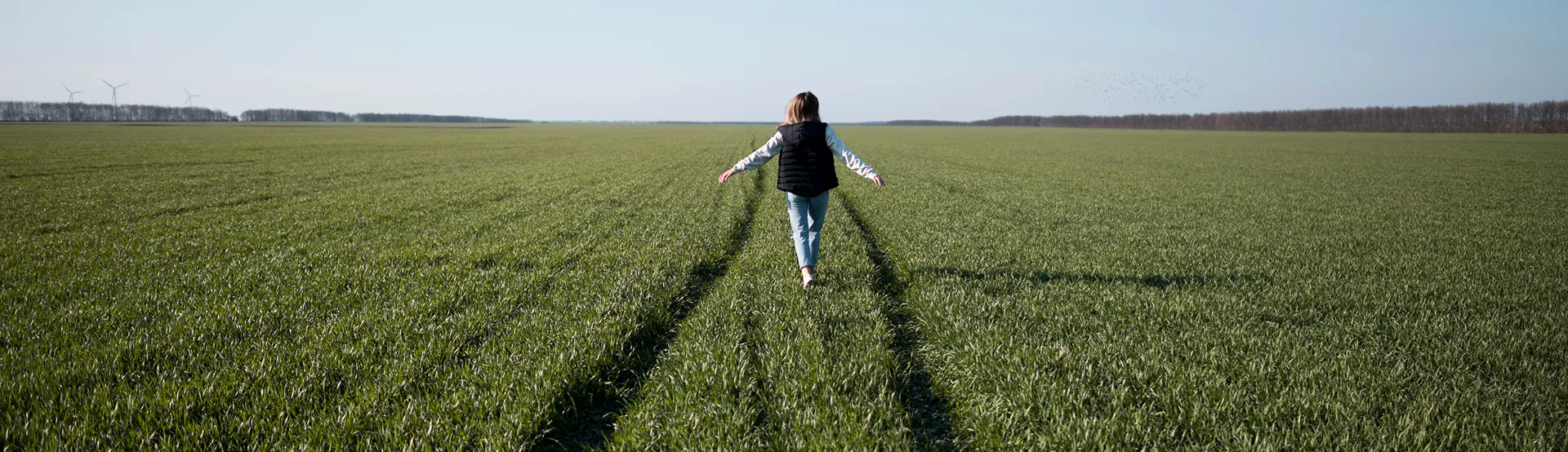 landing-go-grow