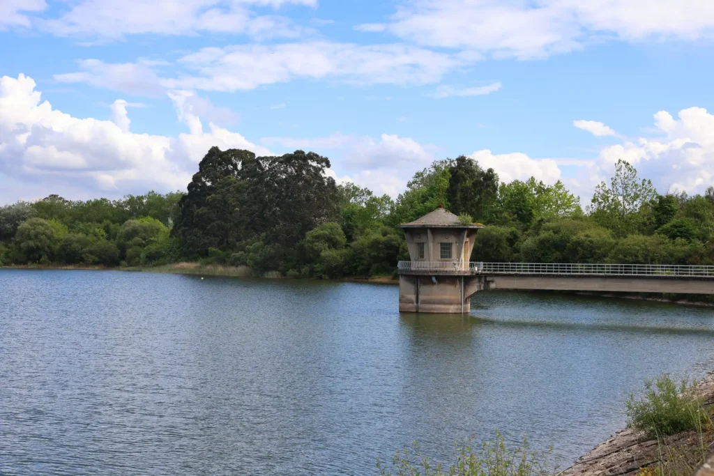 Embalse de Granda 2