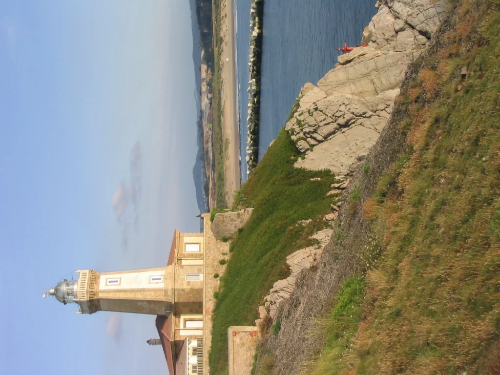 Laviana 1