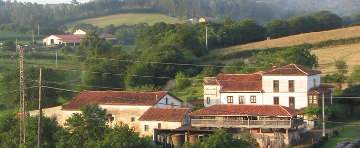 Portada Vioño