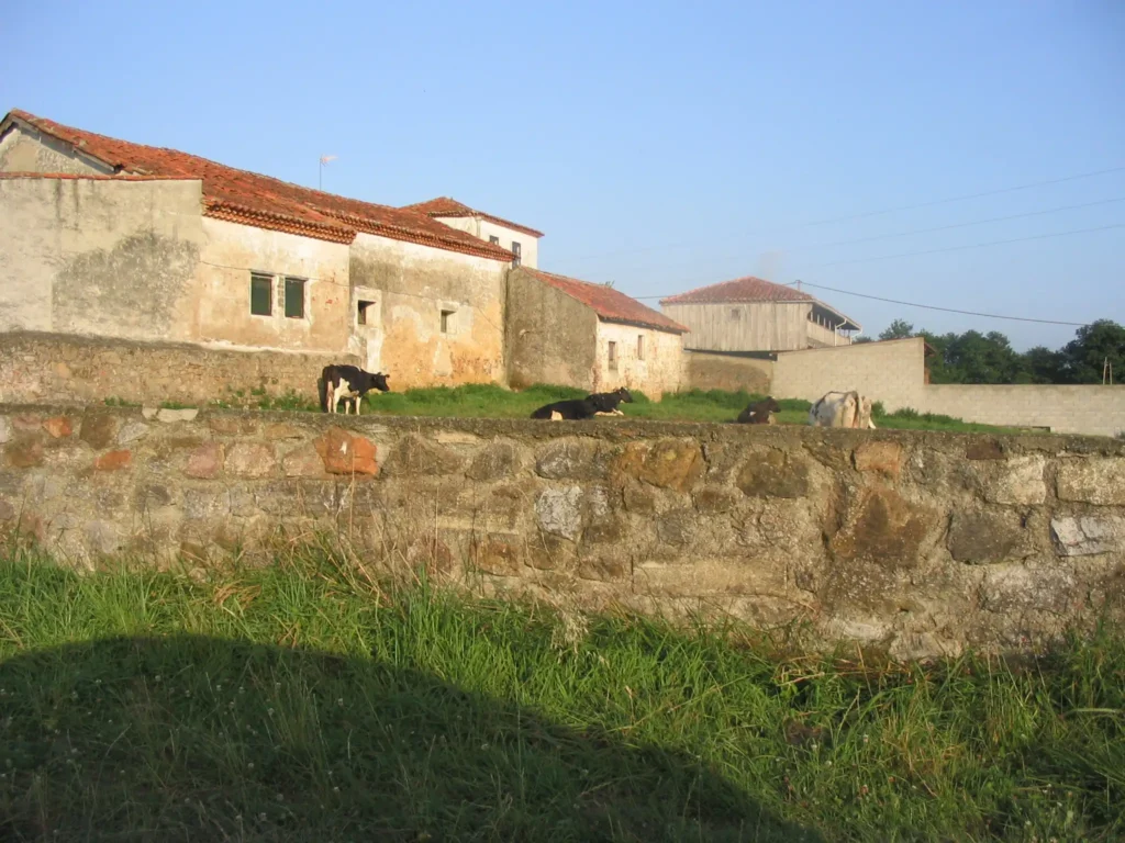 Vioño 3