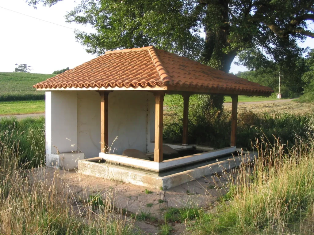Vioño 4