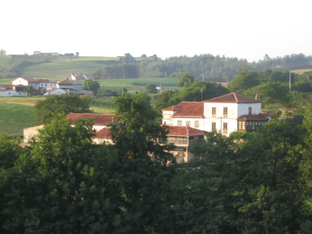 Vioño 7