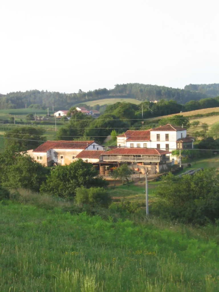 Vioño 8