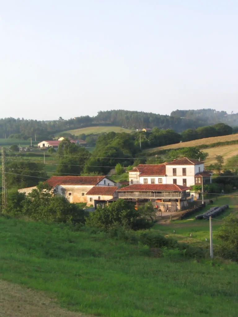 Vioño 9