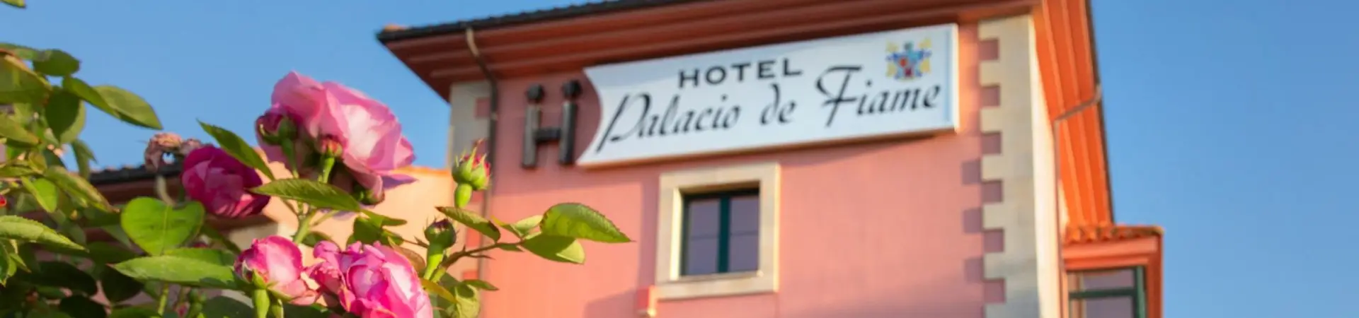 Startseite des Hotels Palacio de Fiame