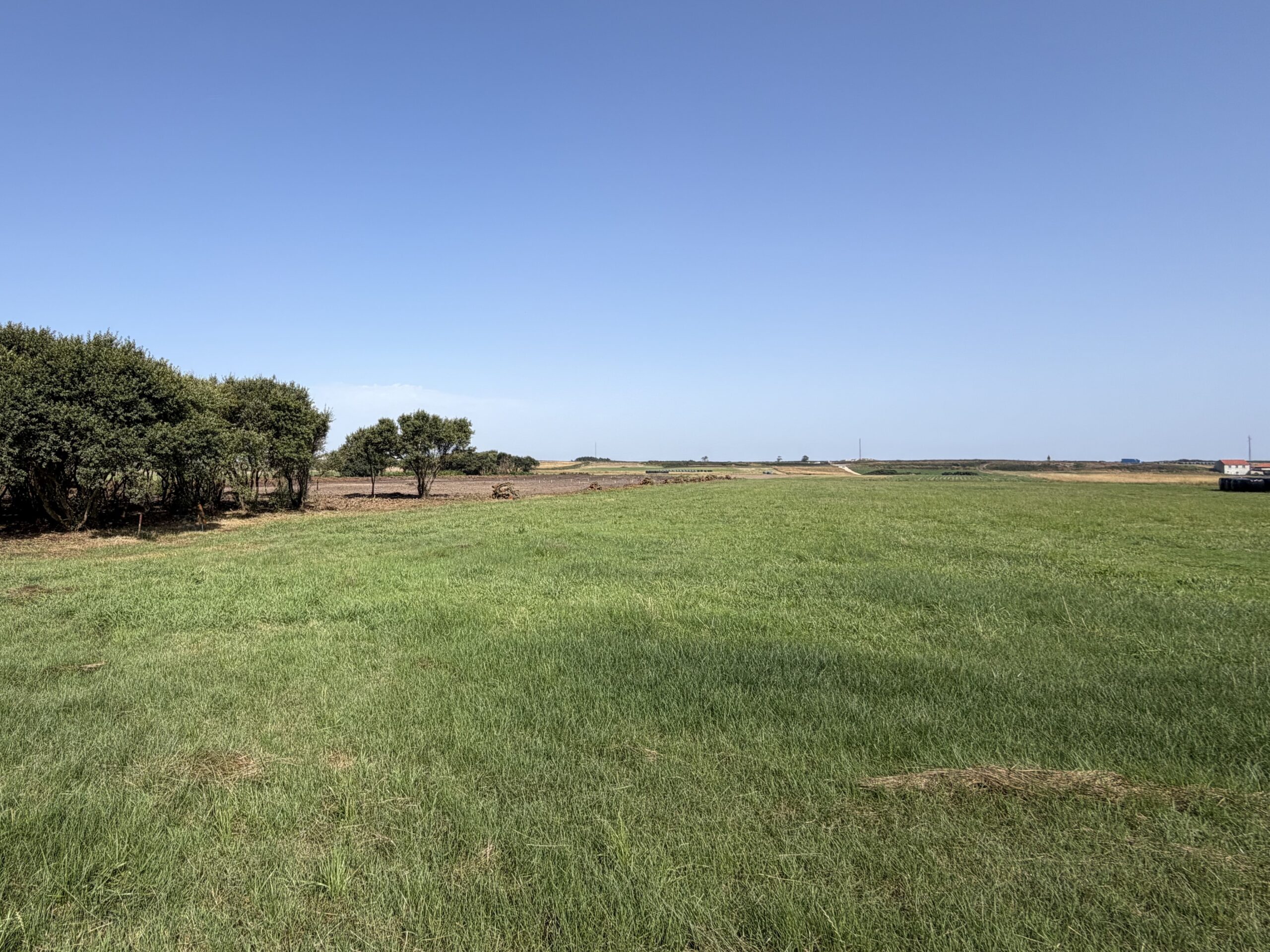 ACTIVIDÁ A03.Ac2.- Ampliación del ámbitu d’intervención de la charca d’avituallamientu d’aves nel Corredor Ecolóxicu Lluanco – Cabu Peñes